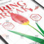 spring_break-premium-flyer-template-2