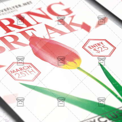 spring_break-premium-flyer-template-2