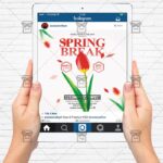 spring_break-premium-flyer-template-4