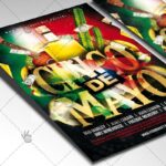 Download Cinco De Mayo Party Flyer - PSD Template-2