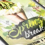 Download Spring Break Party Night PSD Flyer Template Now