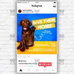 Give Them Home - Flyer PSD Template | ExclusiveFlyer