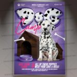 Download Dogs Camp Event PSD Template 1