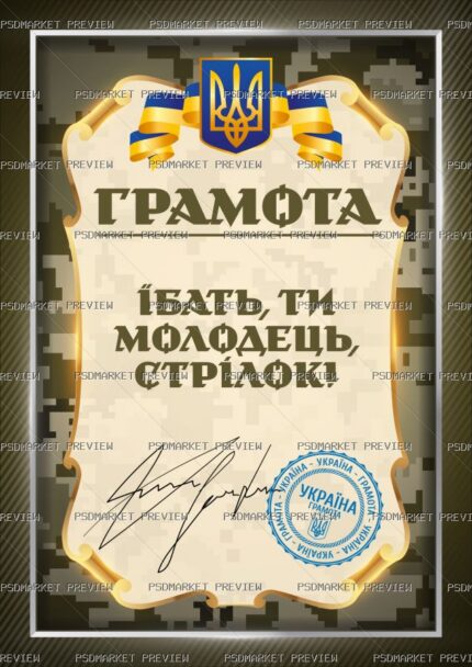 You're Great Shooter Certificate Vector Print — PSD template preview