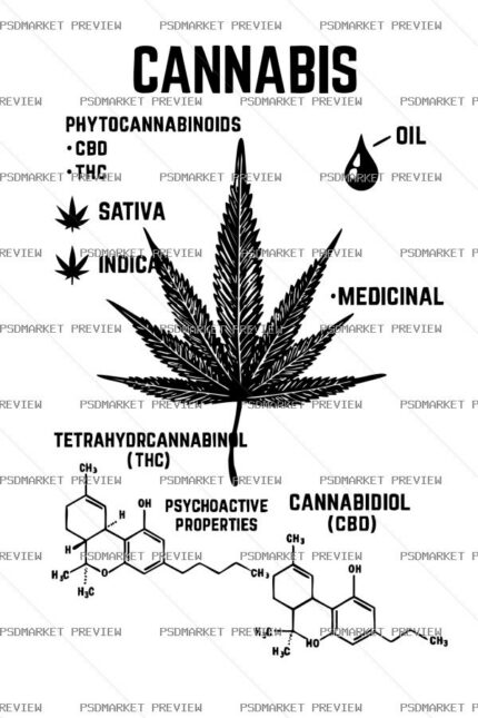 Cannabis Botanical Diagram Vector Print — PSD template preview
