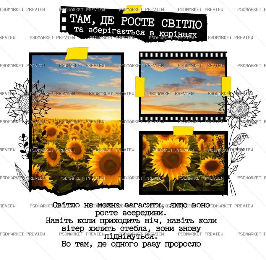 Where The Light Grows Sunflower Vector Print — print design preview