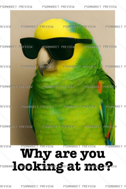 Why Are You Looking at Me Parrot Vector Print — PSD template preview