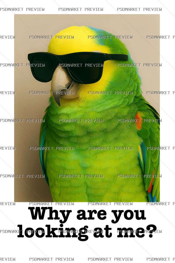 Why Are You Looking at Me Parrot Vector Print — PSD template preview