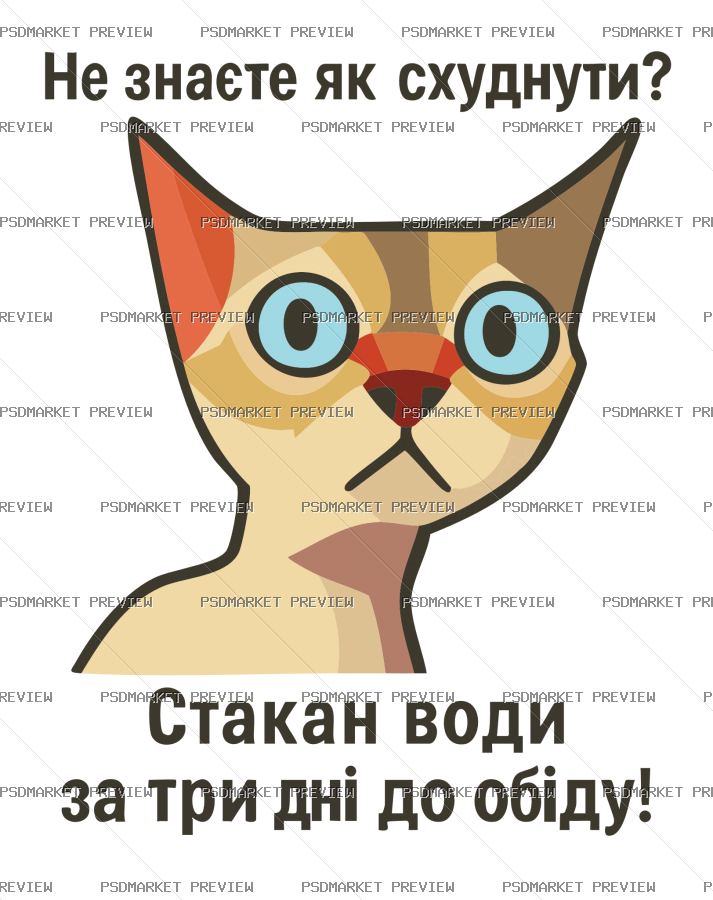 Ukrainian “ЯК ШВИДКО СХУДНУТИ” Funny Print Design – AI File — PSD template preview