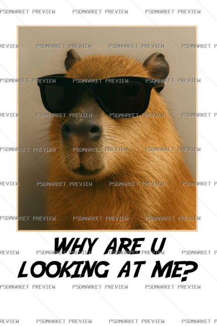 Why Are You Looking at Me Capybara Vector Print protected preview