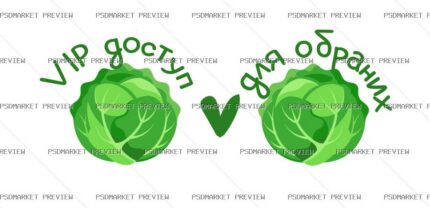 VIP Cabbage Access Vector Print — print design preview