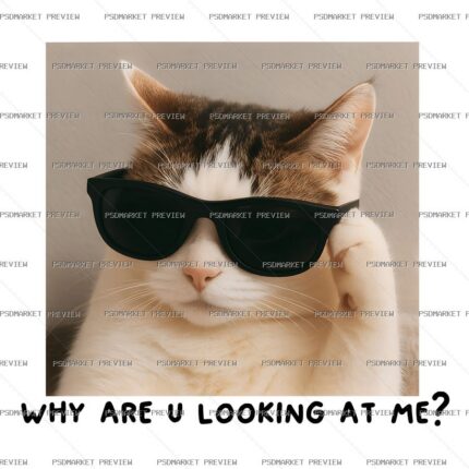 Why Are U Looking at Me Cat Print — print design preview