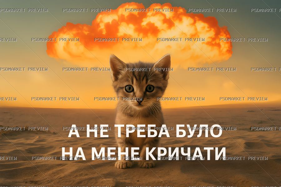 Shouldnt Have Yelled at Me Cat Print — print design preview