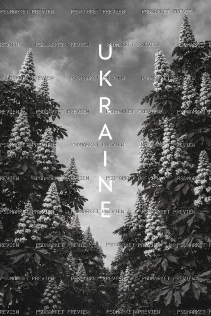 Ukraine Forest Photography Print – PNG — PSD template preview
