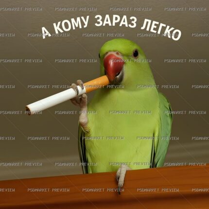 Who Has It Easy Parrot Print — print design preview
